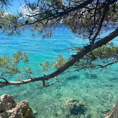 Bor - On The Apartament Malinska